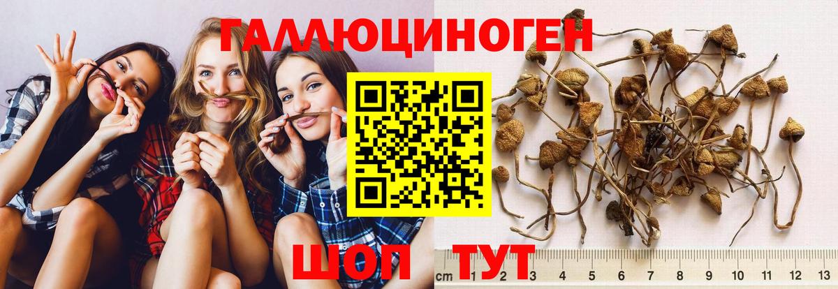 Псилоцибиновые грибы Cubensis  как найти закладки  Стрежевой  Галлюциногенные грибы мицелий  Вход с VPN 