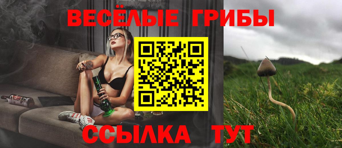 Псилоцибиновые грибы прущие грибы Стрежевой